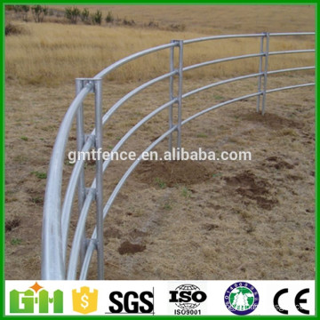 Cheap Galvanized Pipe Horse Fence Panel/Used Horse Fence Panels